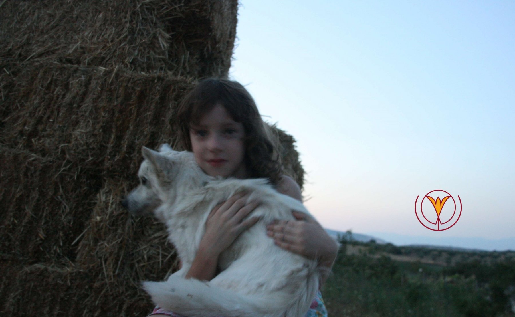 farm